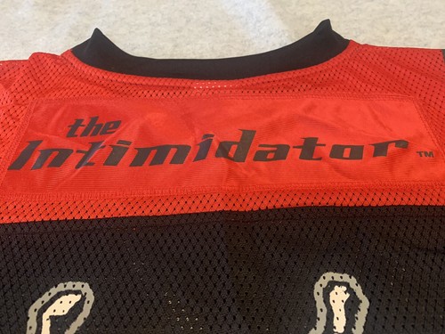 THE INTIMIDATOR #3 Dale Earnhardt Vintage Winners Circle lightweight Jersey Lrg - Picture 7 of 8
