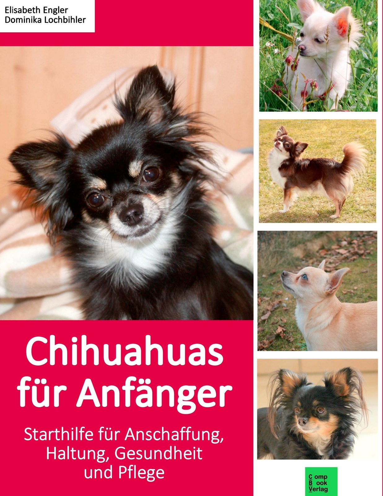 Thumbnail - Chihuahuas Für Anfänger Elisabeth Engler (u. A.) Taschenbuch Paperback