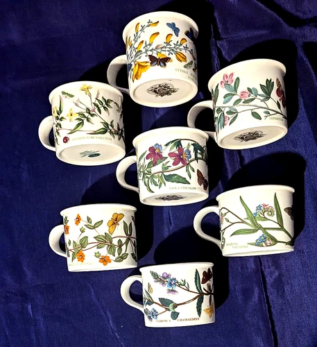 Vintage Portmeirion Botanic Gardens Mugs Cups Set of 7