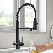 Filtered Kitchen Water Filter Faucets Dual Spout Filter Faucet Mixer Water Crane