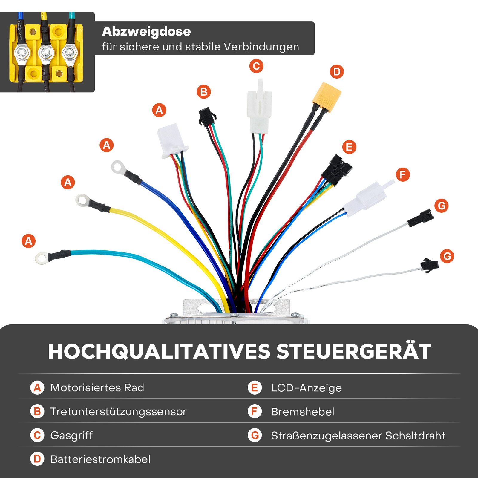 Bild 8 von 9