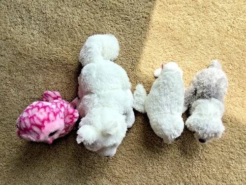 LOT GANZ WEBKINZ TY STUFFED PLUSH ANIMALS TOYS PINKY OWL WHITE FOX SEAL DOG GIFT - Picture 7 of 12