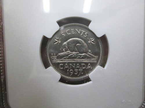 1937 CANADIAN MATTE PROOF SET & ORIGINAL PACKAGING NGC SP63 TO SP66 - Picture 13 of 15