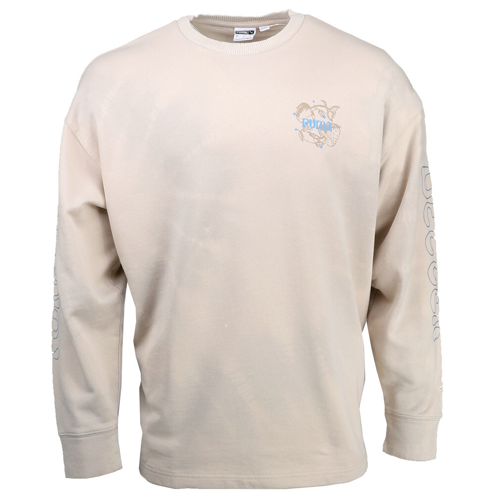 Мужские толстовки с круглым вырезом Puma Downtown Re:Place бежевого цвета 62543090