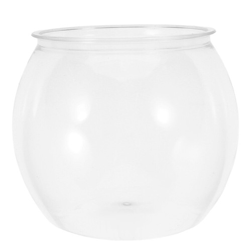 Fish Tank Terrarium Container Avocado Growing Bud Vase Clear Vases