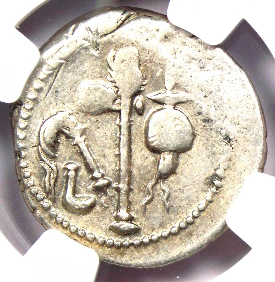 Julius Caesar AR Denarius Silver Elephant Coin 49 BC - Certified NGC Choice VF - Image 4 of 4
