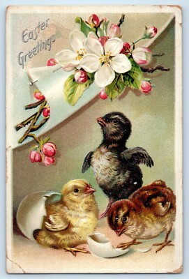 1908 Easter Greetings Chicks Hatched Egg Flowers Embossed Tuck Antique Postcard
