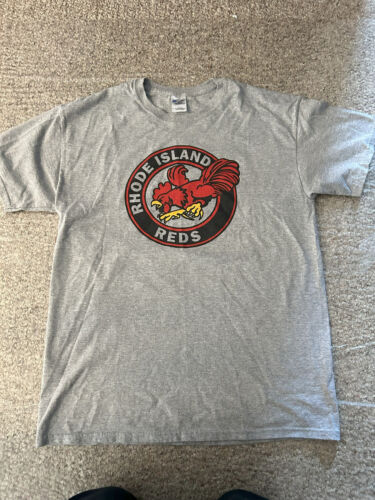 Providence Reds Hockey Club AHL Sports Gray Short Sleeve Shirt Mens Size LG