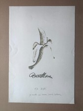 Fabio De Poli - Incisione originale - Numerata 19/31 firmata con dedica