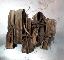 DANDASA SAAK / TEETH CLEANER / STEM-BARK akhr...