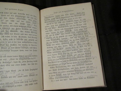 Seidel's AUS GOLDENEN TAGEN, W. Bernhardt (1906) HC DC Heath - Picture 5 of 9