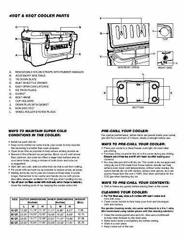 dewalt 10 qt cooler