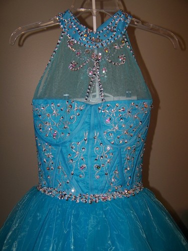 NWOT. STUNNING PAGEANT DRESS + HOOP 