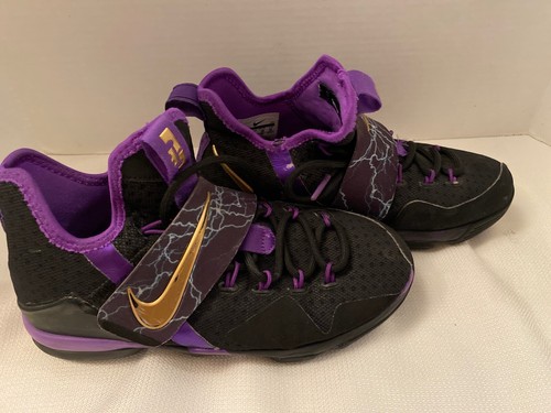 purple lebron 14