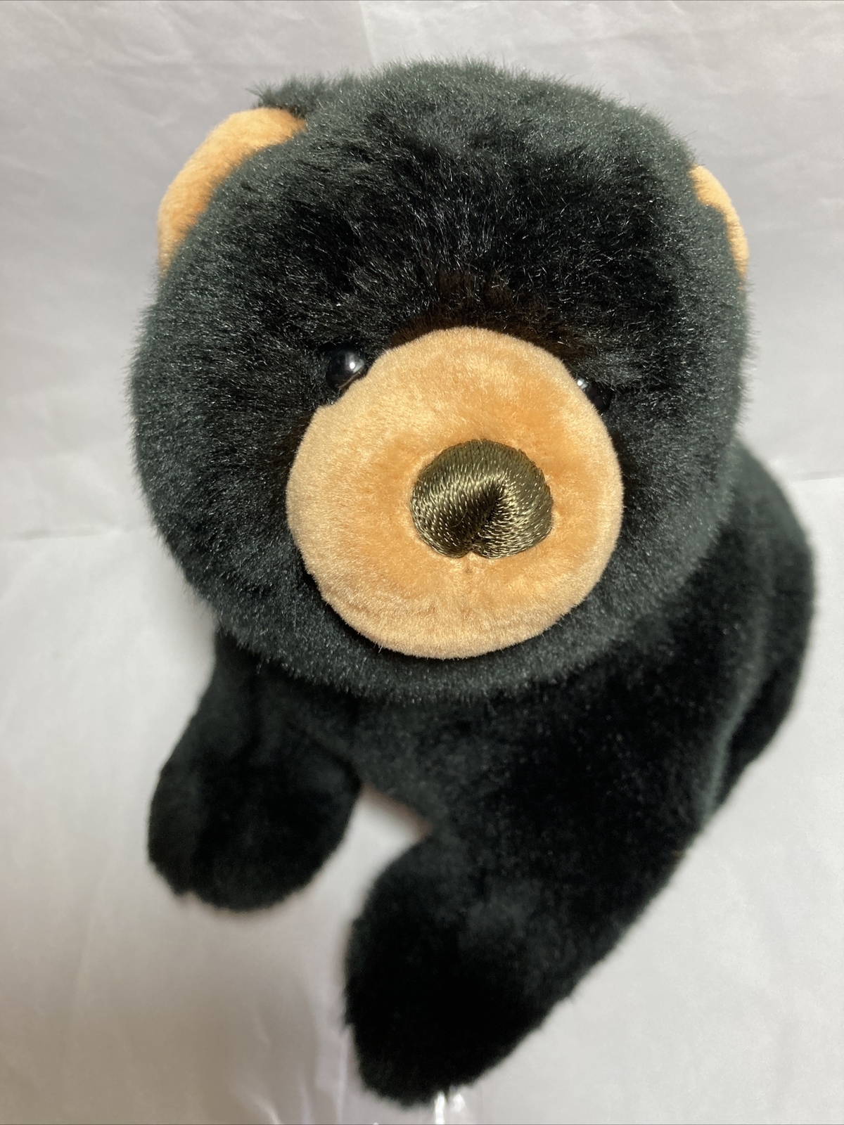teddy black bear
