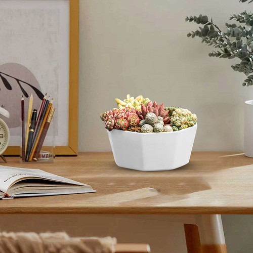 Flower Pots Large Diameter Plastic Planters With Hole Great For Herbs African - Picture 7 of 30