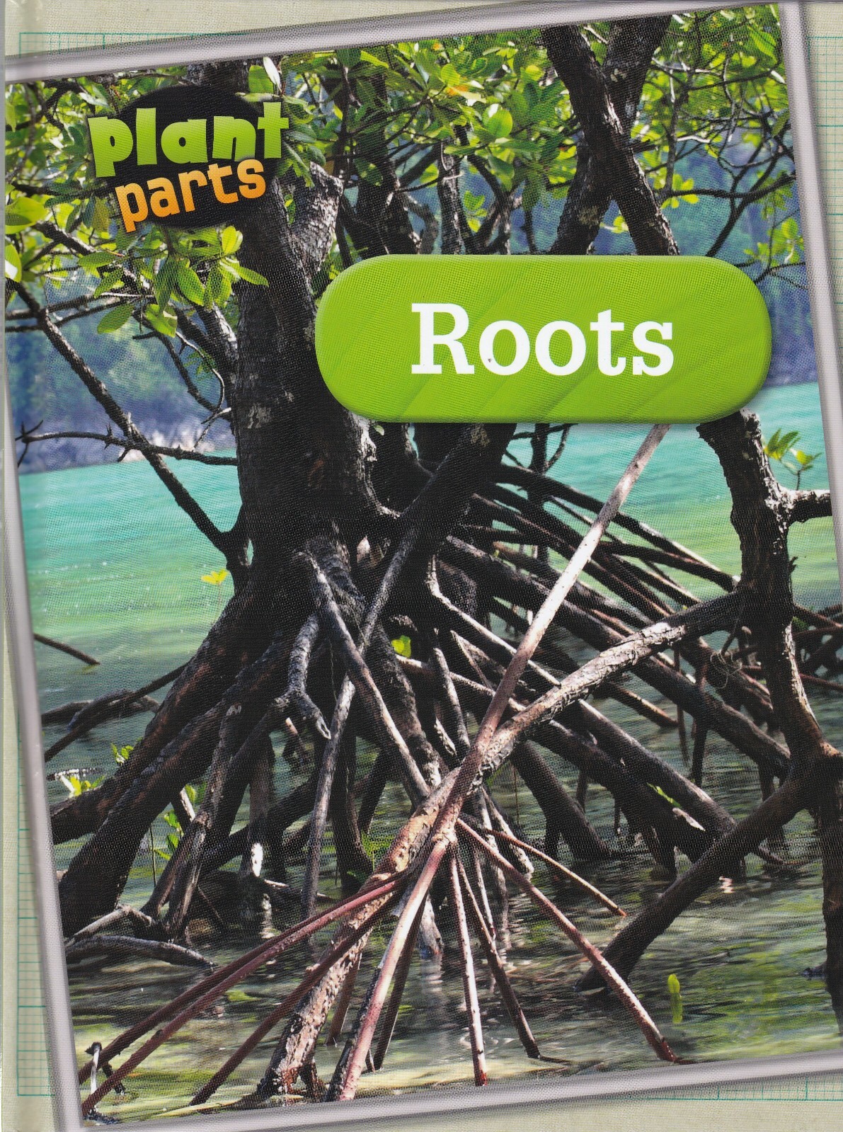 Roots (Plant Parts) Children's Book on Flowers & Plants age 7-9  9781406274790