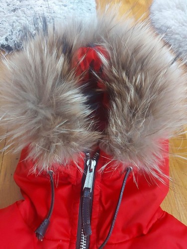 DSQUARED2 Womens Goose Down "Mother Fluff" Hooded Jacket Size IT 40 (S/M) - Picture 3 of 18