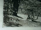 Bild 7 von 15
