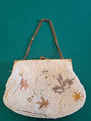 Antique Beaded Purse with Point de Beauvais Embroidery 