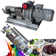 220V 0.55KW High Viscosity Transfer Pump Three-phase Food Grade Rotary Lobe Pump