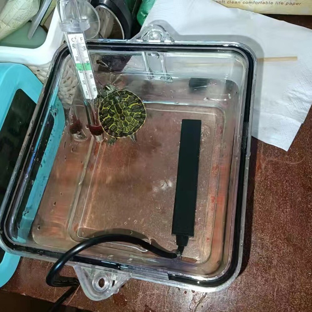 Charging Energy Saving Over Temperature Aquarium Heater Small Fish Tank