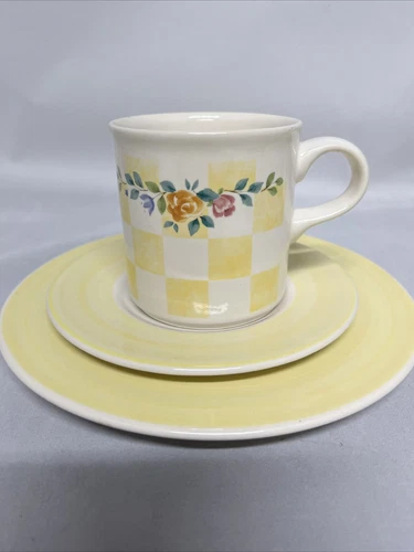 PFALTZGRAFF USA Rosenhaven Cup & Saucer and Salad Plate