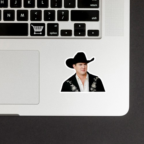 Jon Pardi Stickers-Waterproof Die-Cut Vinyl Stickers-9 PCS Stickers - Picture 3 of 6