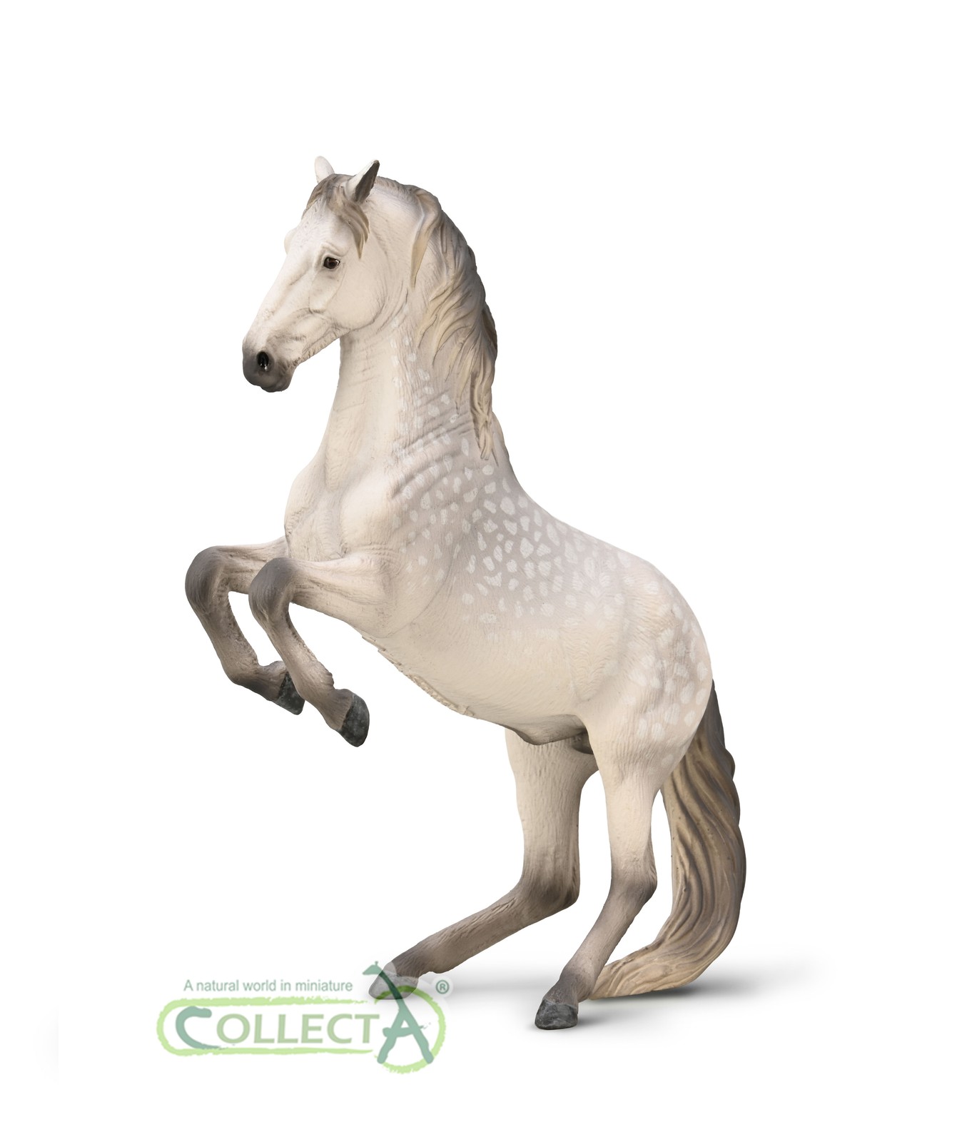 Collecta 80051 Lipizzaner Stallion Appaloosa Foal 14 cm Horse Figure New 2026