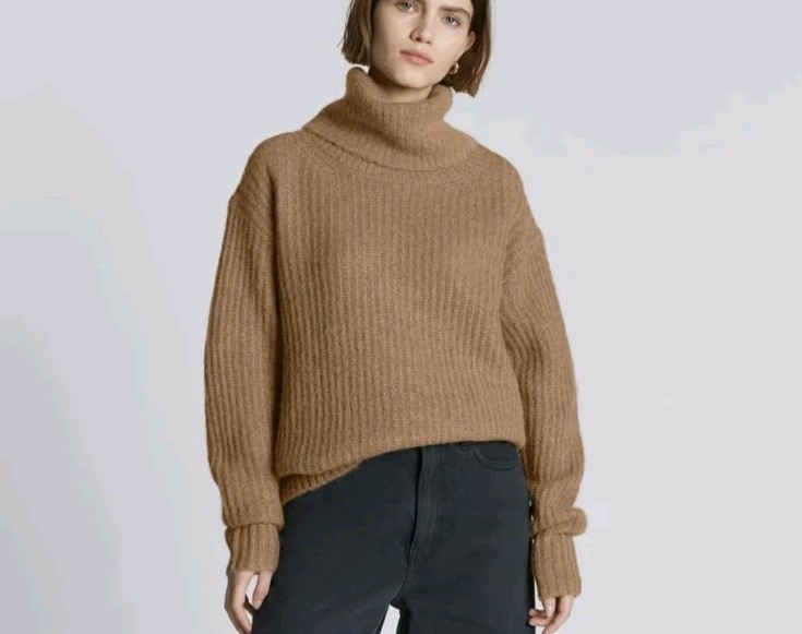 Everlane The Alpaca Oversized Turtleneck In Cappuccino Size Small