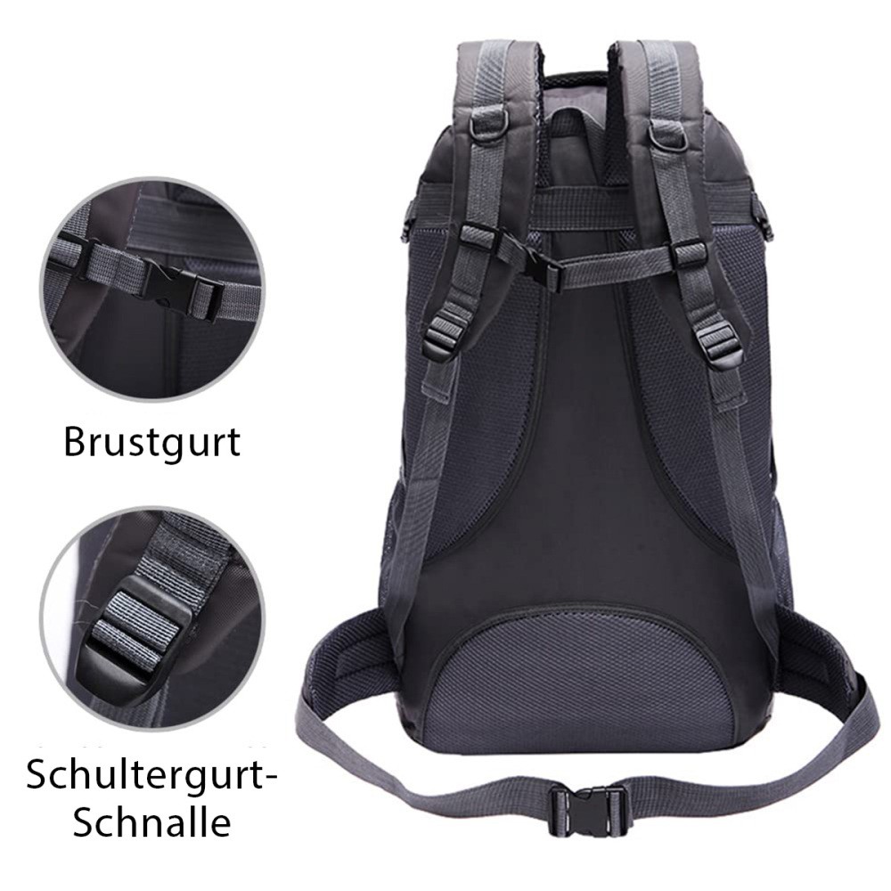 Bild 12 von 14