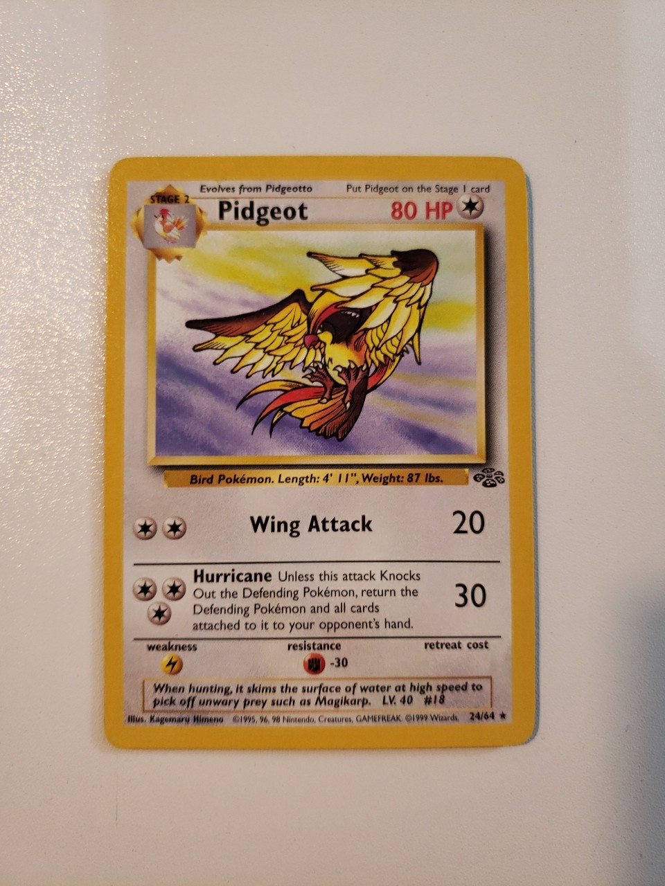 Pidgeot 24/64 Jungle Regular NM