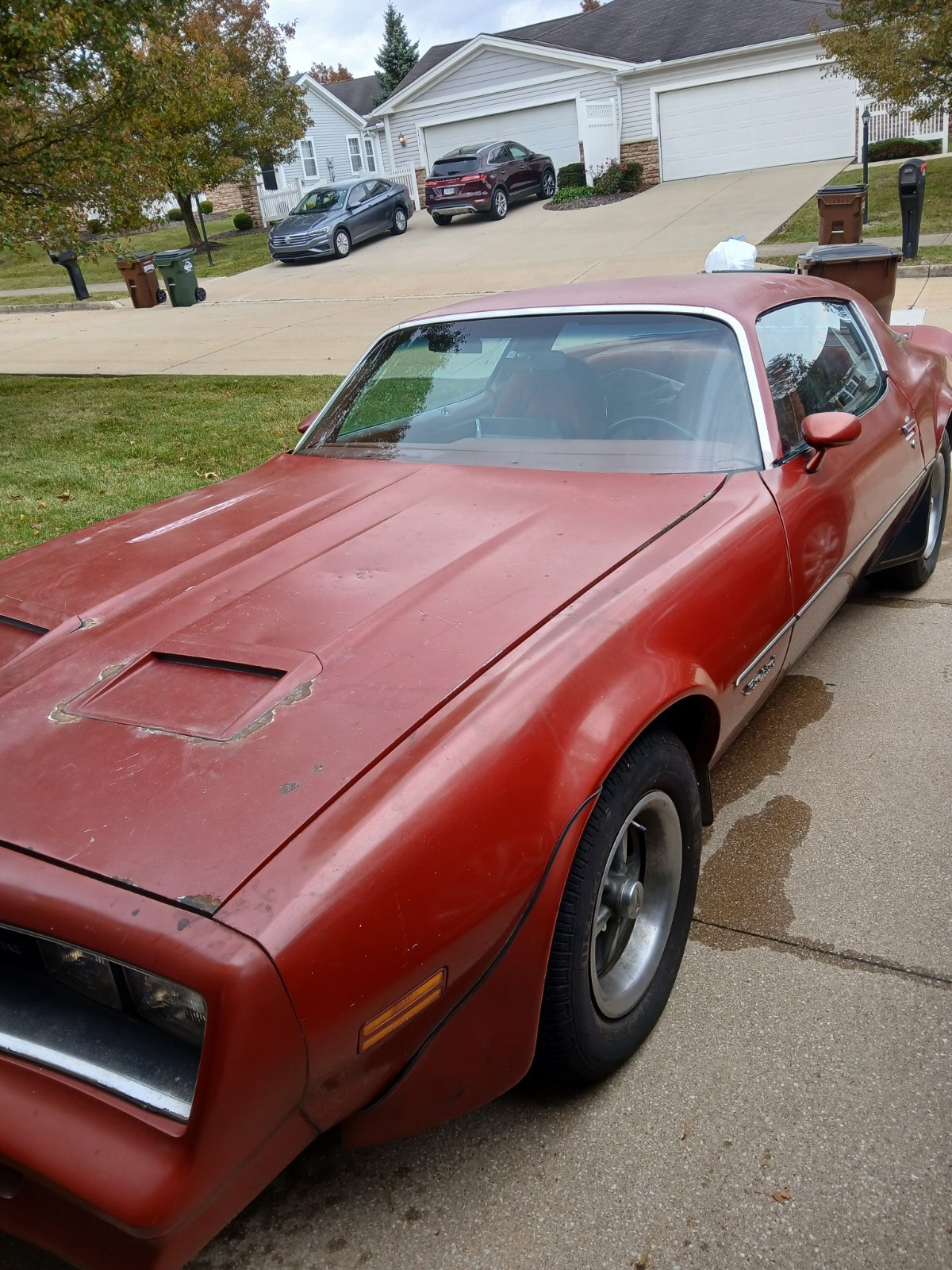 1977 Pontiac Firebird for sale in Cleveland Ohio