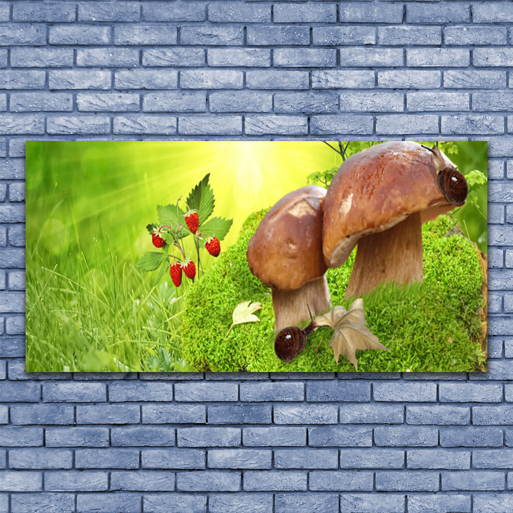 Image sur verre 140x70 cm Champignons et Nature pour une Déco Cuisine Rustique