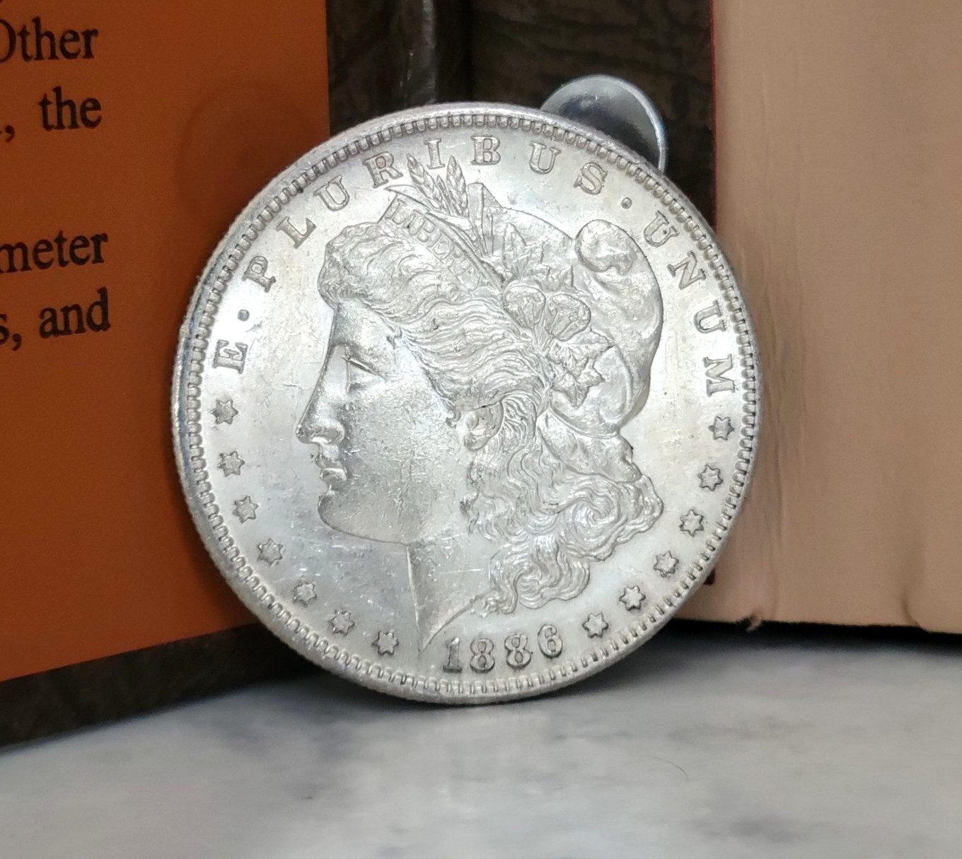1886 San Francisco Morgan Silver Dollar - VAM-2 S/S