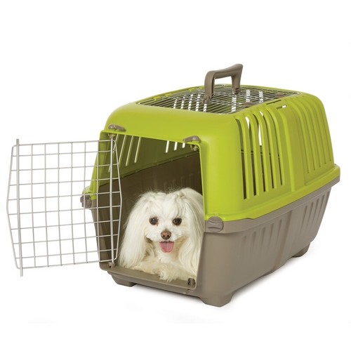 24in Travel Pet Carrier Small Dogs Cats Easy Assembly Durable Hard Sided Green - 第 4/6 張圖片