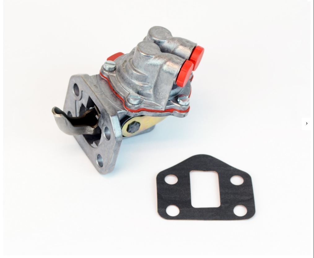 apolina サマカプ25 apolina サマカプ25