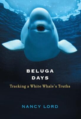 Beluga Days: Tracking a White Whale's Truths by Nancy Lord (Hardcover, 2003)