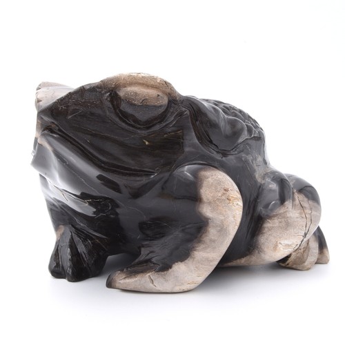 175mm Frog Hand Carved Gemstone Natural Fossilised Wood Healing Crystal Genuine - Picture 2 of 8