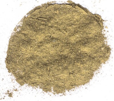 Moringa Oleifera Pulver
