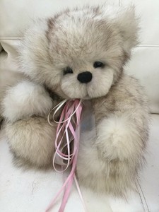 teddy bear real
