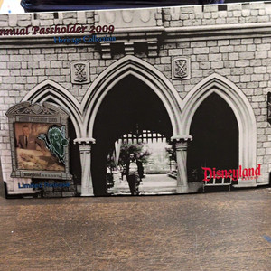 Disneyland Resort Haunted Mansion Annual Passholder 2009 Exclusive LR Single Pin
