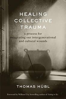 Healing Collective Trauma: A Process for Integrating Our... | Buch | Zustand gut