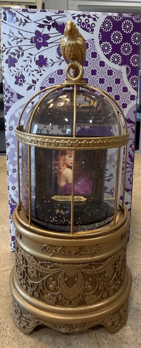 洋楽 Taylor Swift speak now  Globe Official Taylor Swift Speak Now (Taylor's Version) Frame Snow