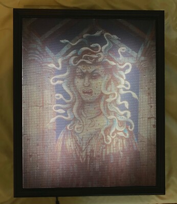 Haunted Mansion Medusa Gorgon Changing Portrait 18x22'' Disneyland 50th D23 2019
