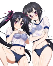 Serafall and Sona Highschool DxD Weatherproof Anime Sticker 6" Car Decal V30