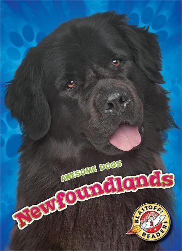 Newfoundlands by Nathan Sommer HARDBACK 9781626176140 - Image 4