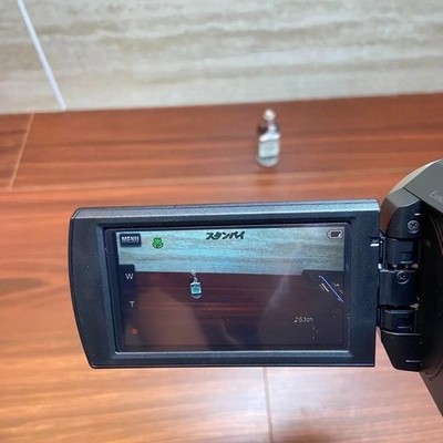 Sony Handycam HDR-CX550VE (64 GB) High Definition Camcorder for