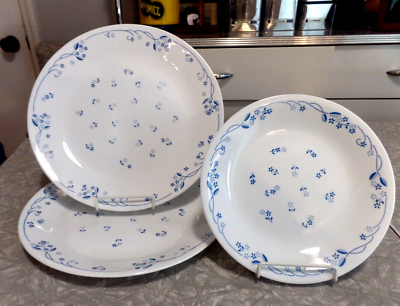 CORELLE DINNERWARE SET in the PROVINCIAL BLUE PATTERN