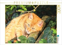 Calvendo Puzzle Kuschelzeit 2000 Teile Puzzle Quer | 2000 Teile Lege-GrößE 90X67